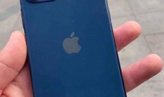 iPhone12蓝色被吐槽